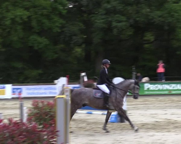 Reitturnier Rhede 2022