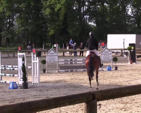 Reitturnier Rhede 2022