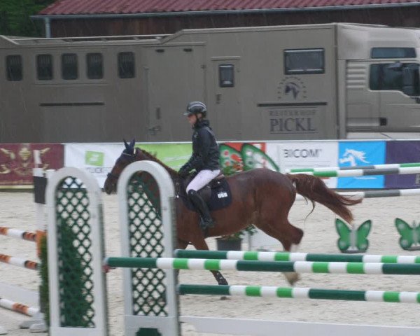Reitturnier Karlsfeld/Obb. 2022