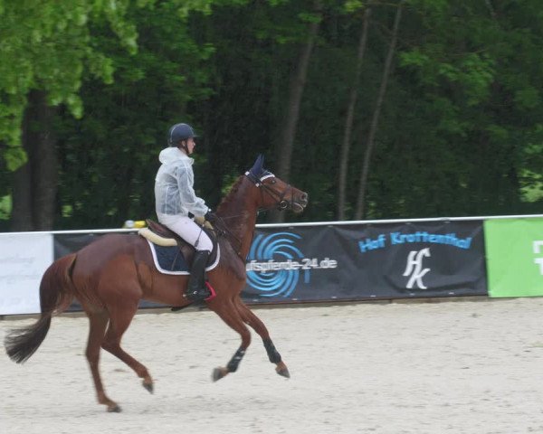 Reitturnier Karlsfeld/Obb. 2022