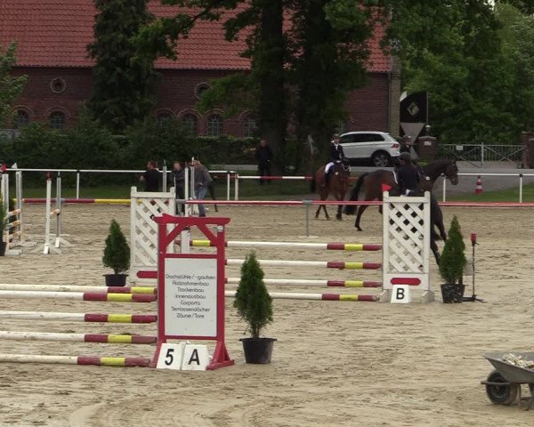 Reitturnier Ostenfelde-Vornholz 2022