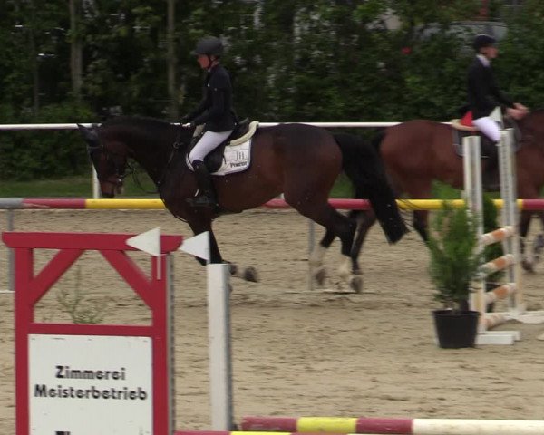 Reitturnier Ostenfelde-Vornholz 2022