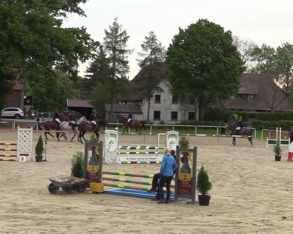 Reitturnier Ostenfelde-Vornholz 2022