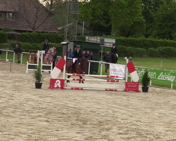 Reitturnier Ostenfelde-Vornholz 2022
