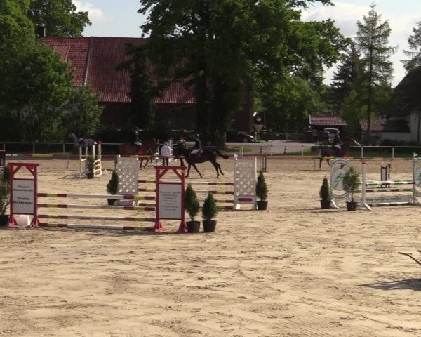 Reitturnier Ostenfelde-Vornholz 2022