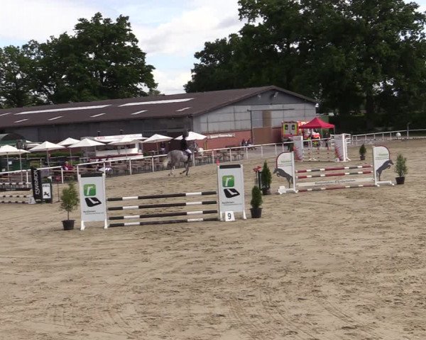 Reitturnier Ostenfelde-Vornholz 2022
