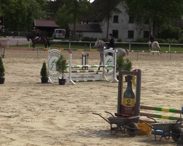 Reitturnier Ostenfelde-Vornholz 2022