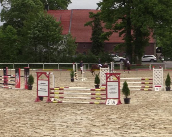 Reitturnier Ostenfelde-Vornholz 2022