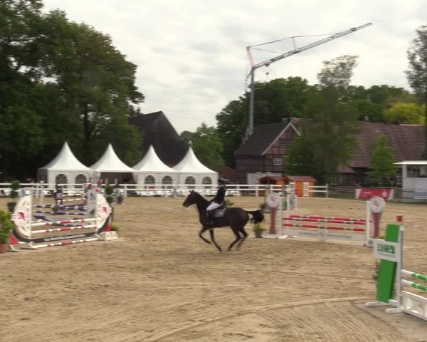 Reitturnier Münster-Angelmodde 2022