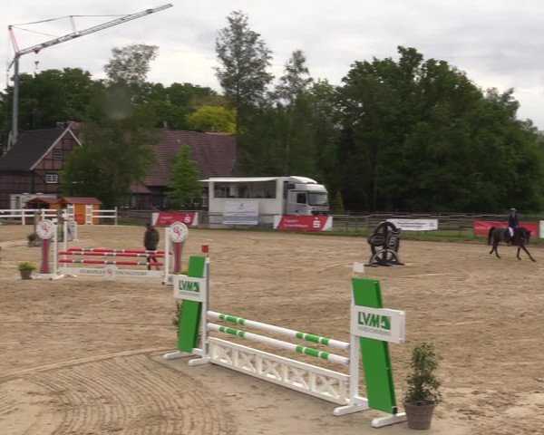 Reitturnier Münster-Angelmodde 2022