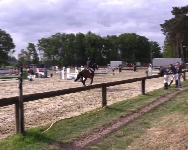 Reitturnier Rhede 2022