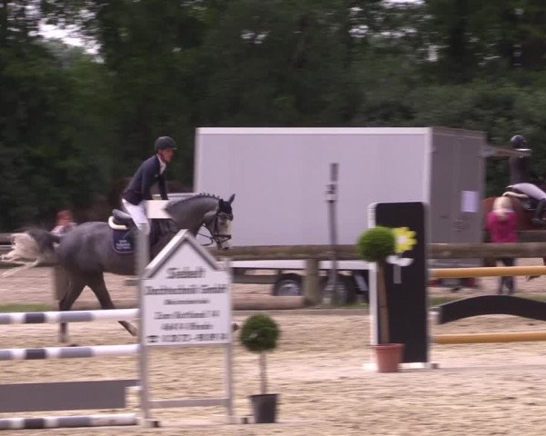 Reitturnier Rhede 2022