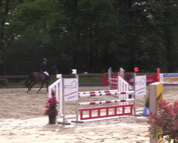 Reitturnier Rhede 2022