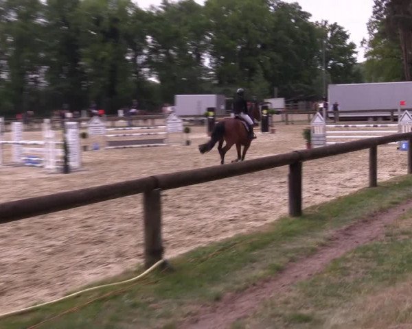 Reitturnier Rhede 2022