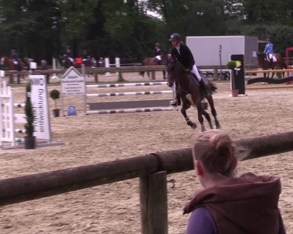 Reitturnier Rhede 2022