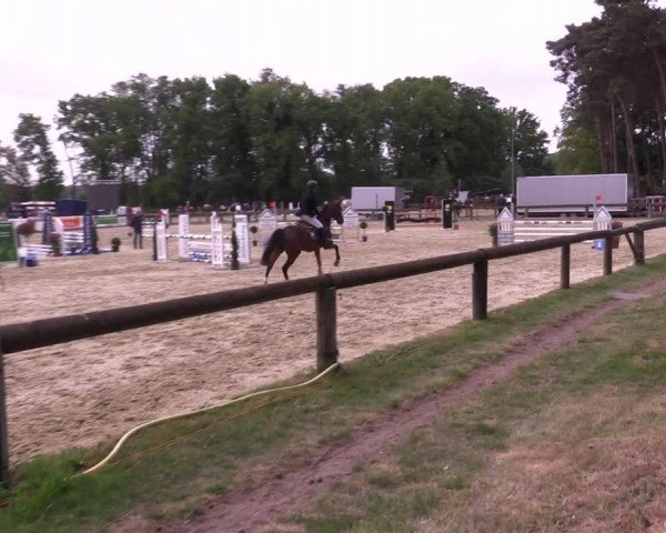Reitturnier Rhede 2022