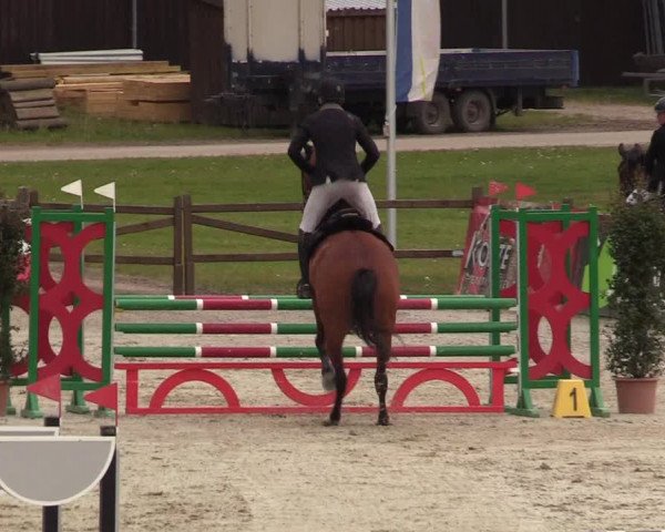 Reitturnier Westergellersen 2022