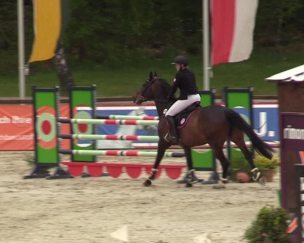 Reitturnier Westergellersen 2022