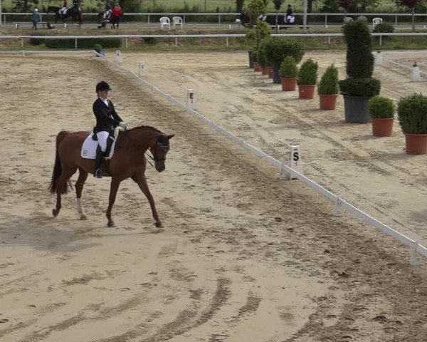 Reitturnier Bornheim-Widdig 2022
