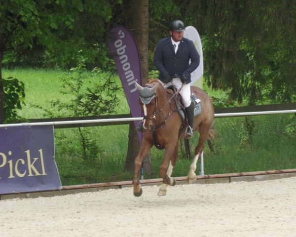 Reitturnier Karlsfeld/Obb. 2022
