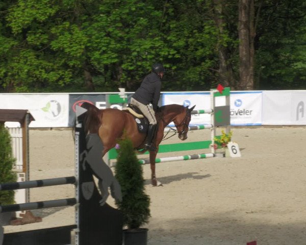 Reitturnier Karlsfeld/Obb. 2022