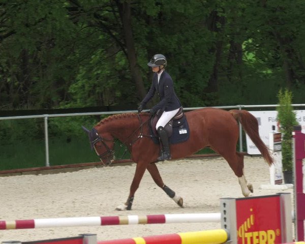 Reitturnier Karlsfeld/Obb. 2022