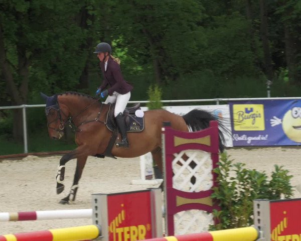 Reitturnier Karlsfeld/Obb. 2022