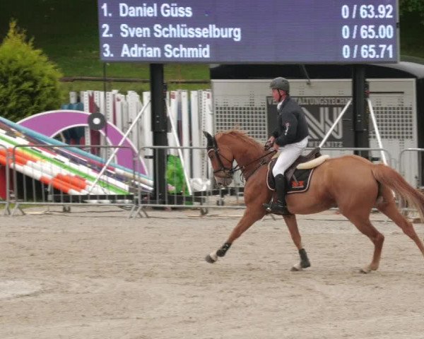 Reitturnier Tübingen 2022