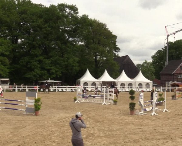 Reitturnier Münster-Angelmodde 2022
