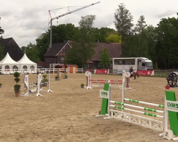 Reitturnier Münster-Angelmodde 2022