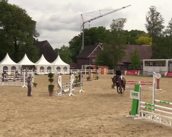 Reitturnier Münster-Angelmodde 2022