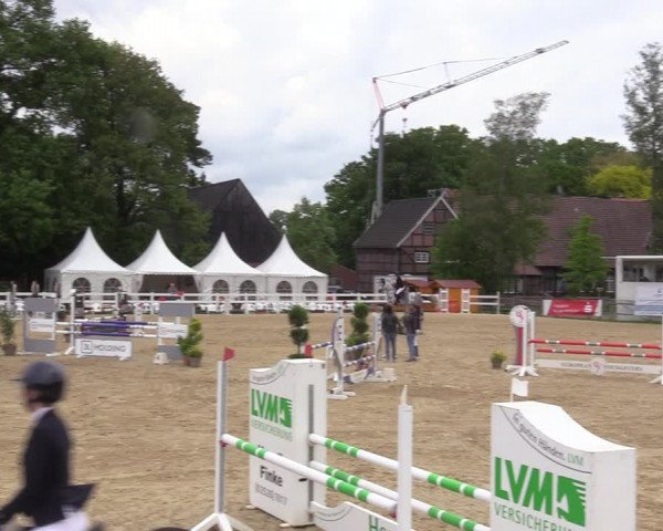 Reitturnier Münster-Angelmodde 2022