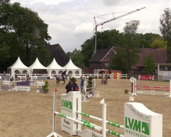 Reitturnier Münster-Angelmodde 2022