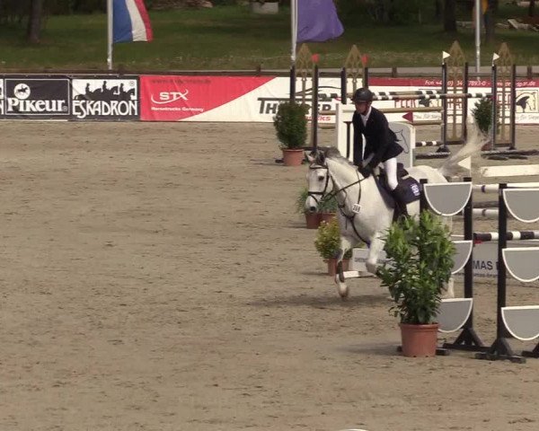 Reitturnier Westergellersen 2022