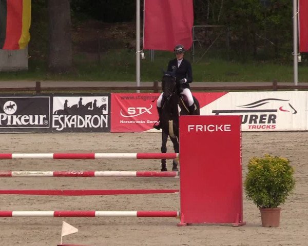 Reitturnier Westergellersen 2022