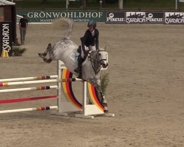 Reitturnier Westergellersen 2022