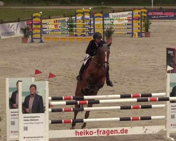 Reitturnier Westergellersen 2022