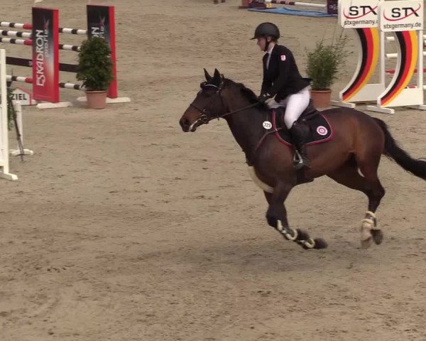 Reitturnier Westergellersen 2022