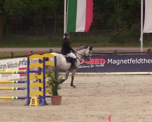 Reitturnier Westergellersen 2022