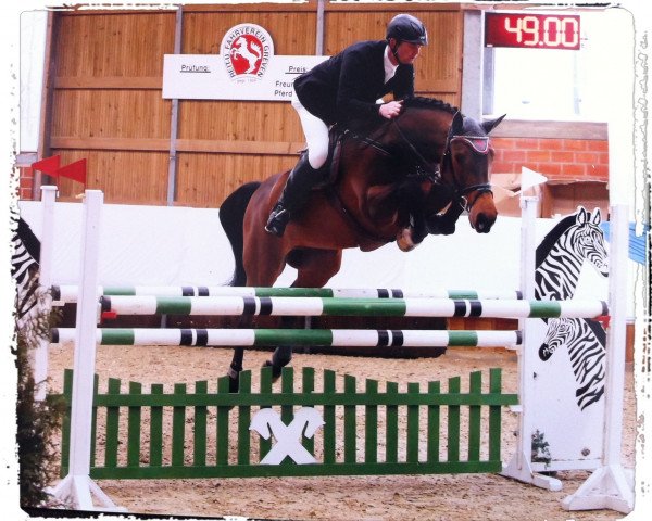 Springpferd Chili NT (Holsteiner, 2008, von Corrido 4)