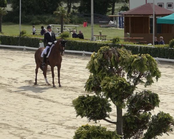Reitturnier Bornheim-Widdig 2022