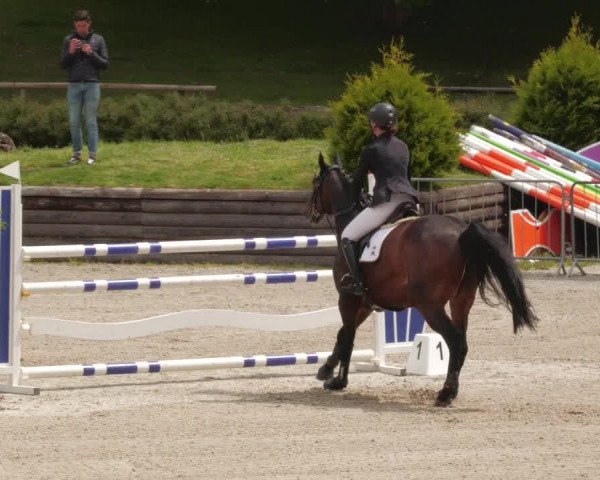 Reitturnier Tübingen 2022