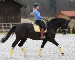 Cavallo Darth Vader (Bayer, 2001, di Donnerschlag)