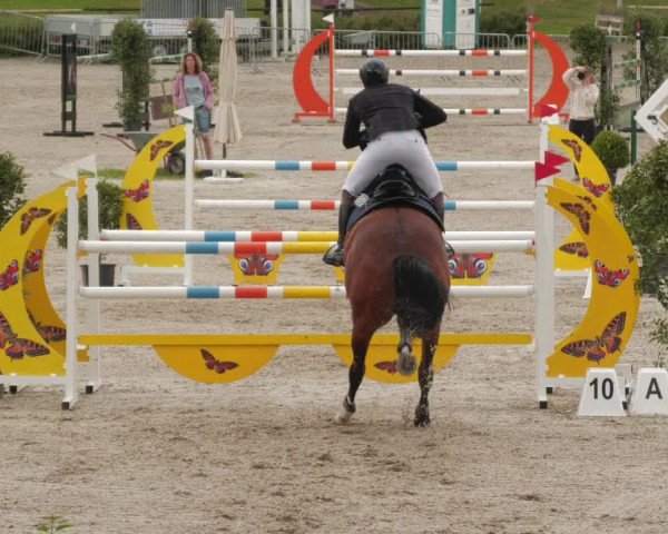 Reitturnier Tübingen 2022