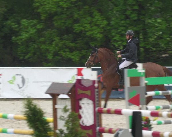 Reitturnier Karlsfeld/Obb. 2022