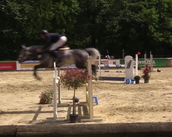 Reitturnier Rhede 2022