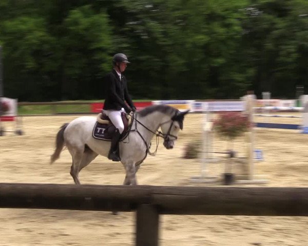 Reitturnier Rhede 2022