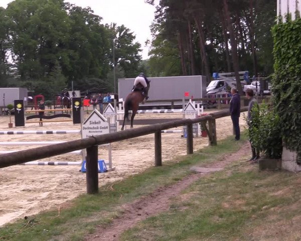 Reitturnier Rhede 2022