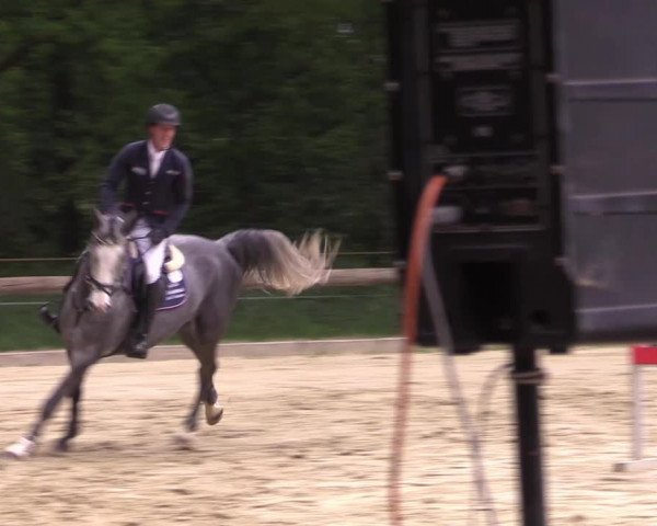 Reitturnier Rhede 2022