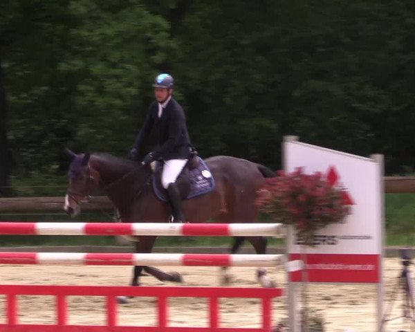 Reitturnier Rhede 2022
